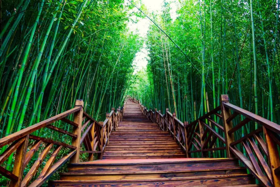 Guanyin Cave, Miles Bamboo Forest Scenic Area