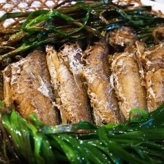 Jianguo 328 ảnh của người dùng