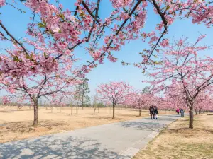 上海辰山植物園