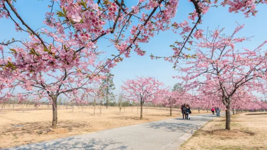 상하이 천산 식물원(상해 진산식물원)