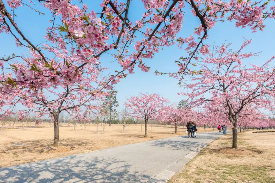 上海辰山植物園