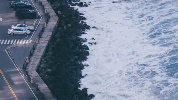 美國舊金山金門公園+九曲花街+漁人碼頭+斐洛里莊園一日遊