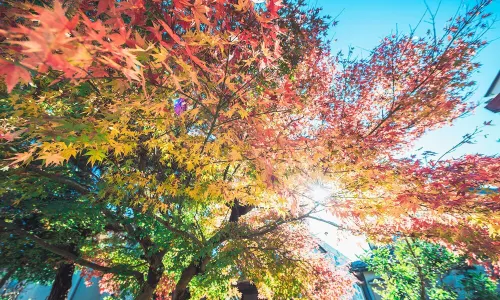 Kansui Park