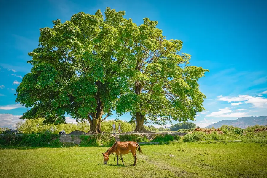 Haishe Ecological Park