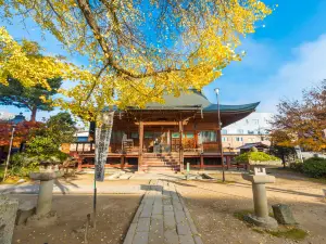 Popular Fall Viewing Attractions in Hida