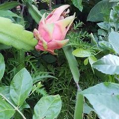 Veranda Lodge User Photo