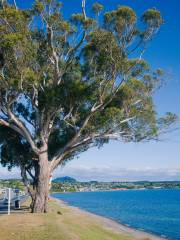 Lake Taupo