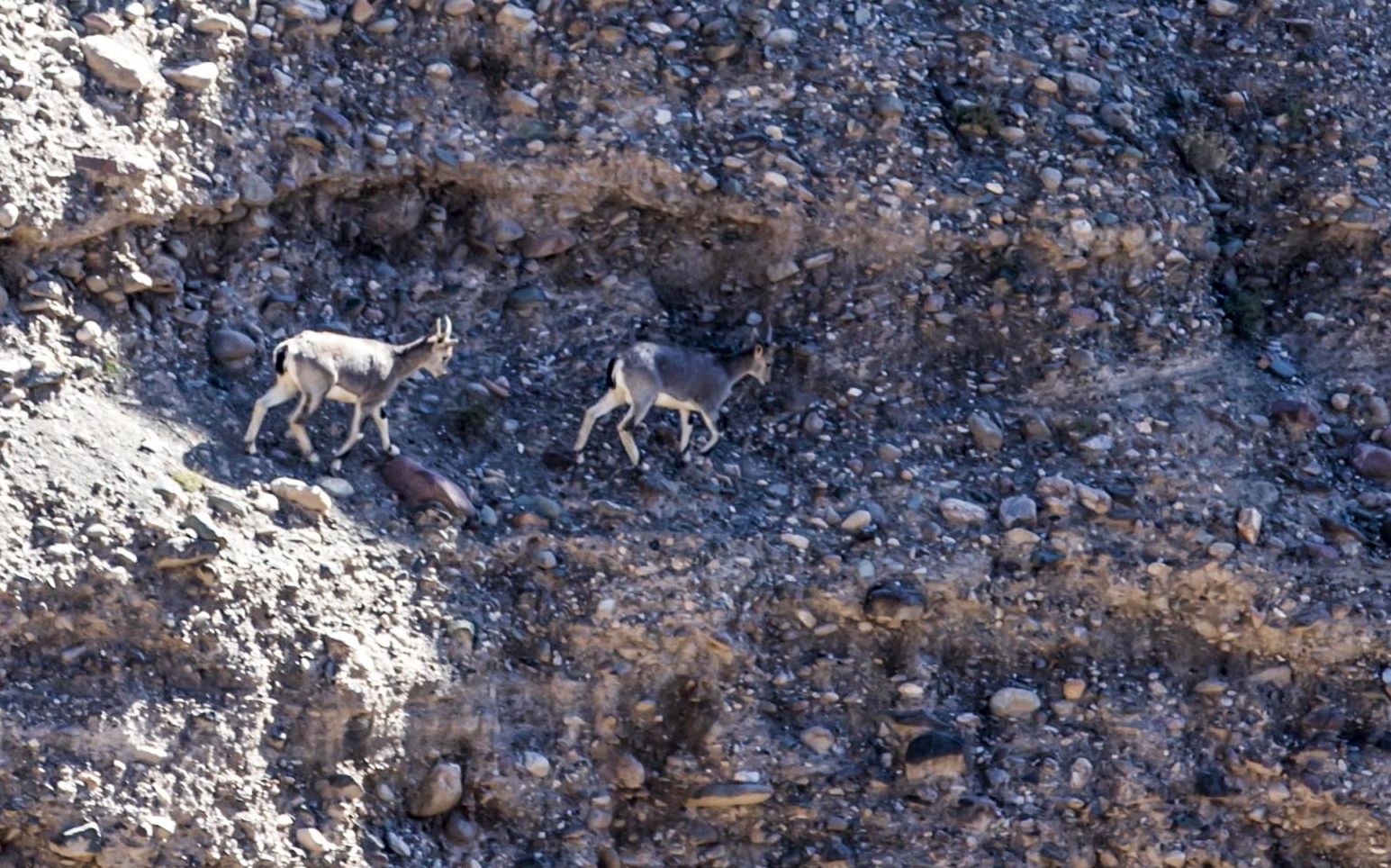 討頼河は甘粛省嘉峪関市の唯一の地表河川で 水の流れは祁連山の Trip Com 嘉峪関の旅のブログ