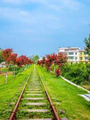 Gannan Forest Train