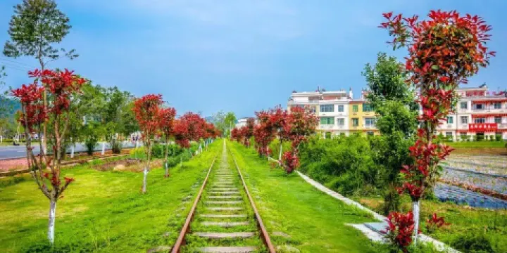 贛南森林小火車