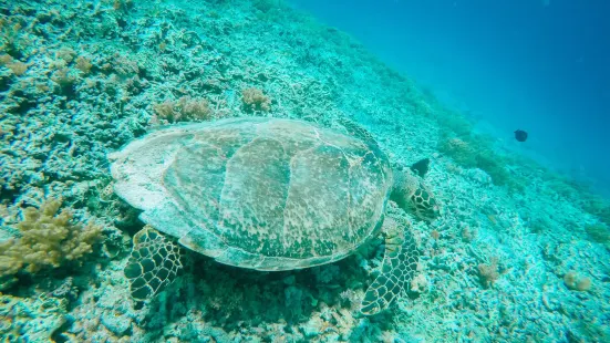 Gili Islands