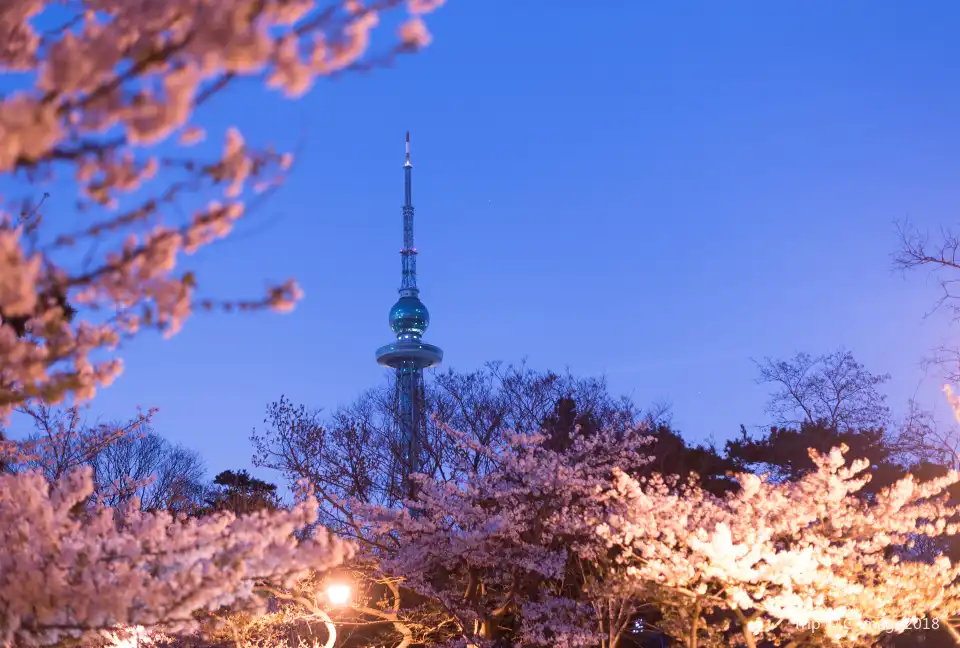 4_Qingdao TV Tower