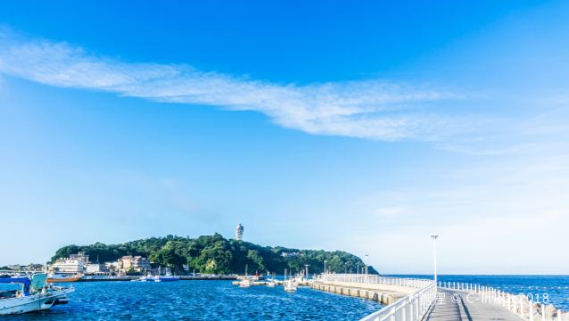 鎌倉大佛+八幡宮+七裡濱+鎌倉高校+江之島一日遊【中文司機】