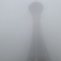 慈溪海天一洲观景酒店·海天食汇中餐厅 User Photo