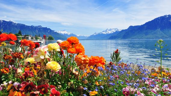 Чикаго туда и обратно/в обе стороны|Милуоки + Собор Святой Горы + однодневный тур по осеннему Лейк-Дженива