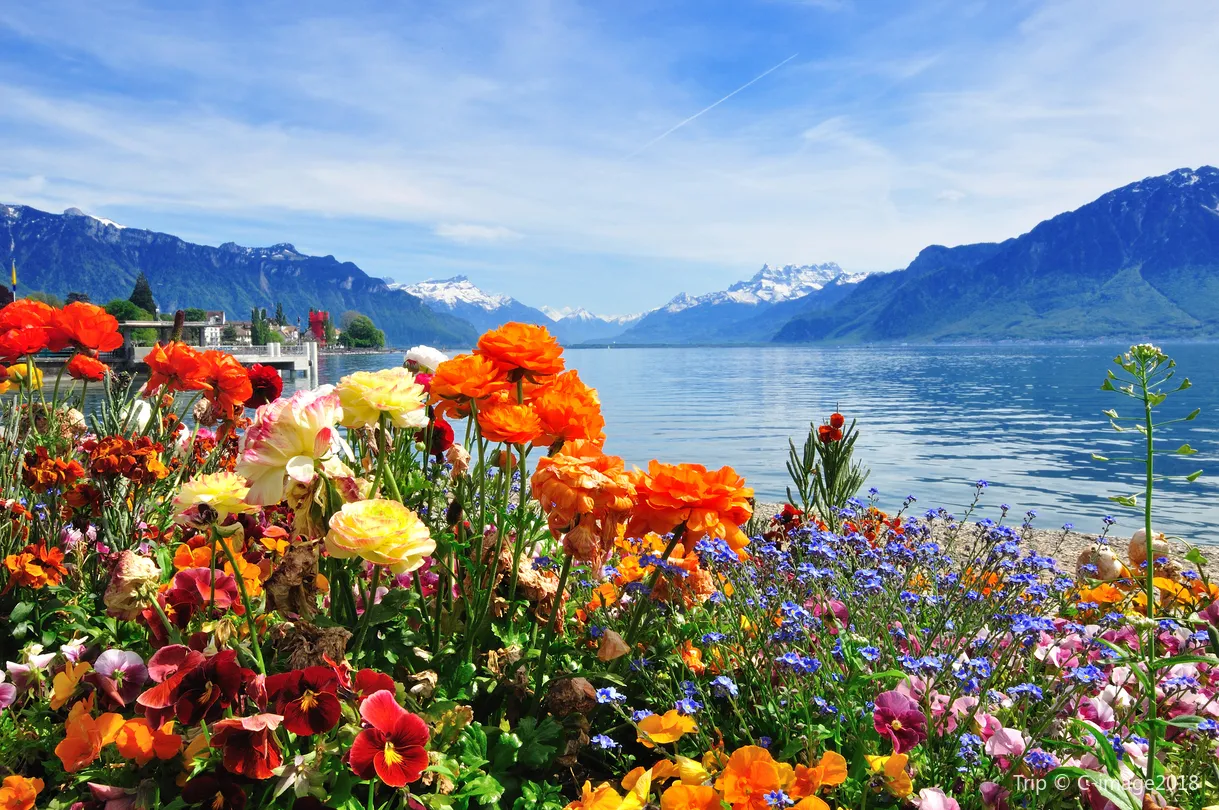 4_Lake Geneva