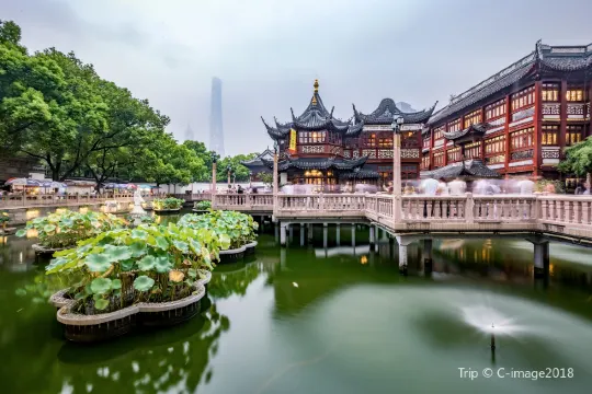 【上海自由行】上海熱門景點、美食、購物一站式搞定