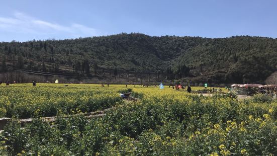 螳螂川，一条景色秀丽的小河，沿河两岸油菜花盛开时，景色宜人，