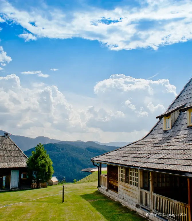 Mokra Gora