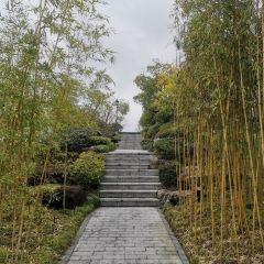 Narada Qiandao Lake Resort  (wenguangxuanzhongcanting) User Photo