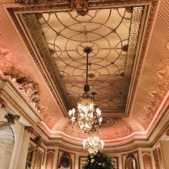 The Palm Court User Photo