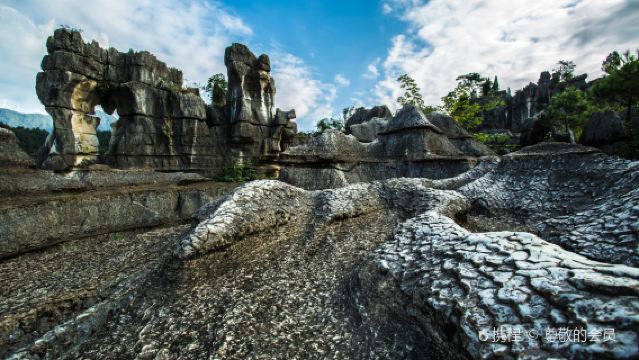 萬盛黑山谷+石林風景區一日遊【重慶出發】