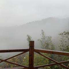 安吉涵田度假村·餐厅 User Photo