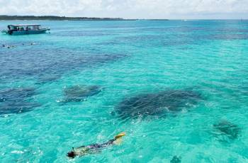 Top 10 Activities in Okinawa Prefecture