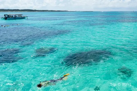Scuba Diving in Okinawa