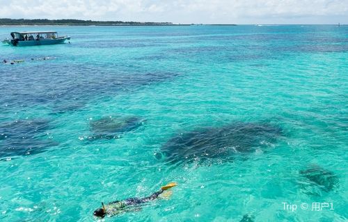Scuba Diving in Okinawa
