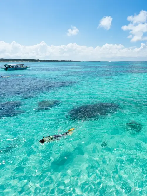 Scuba Diving in Okinawa