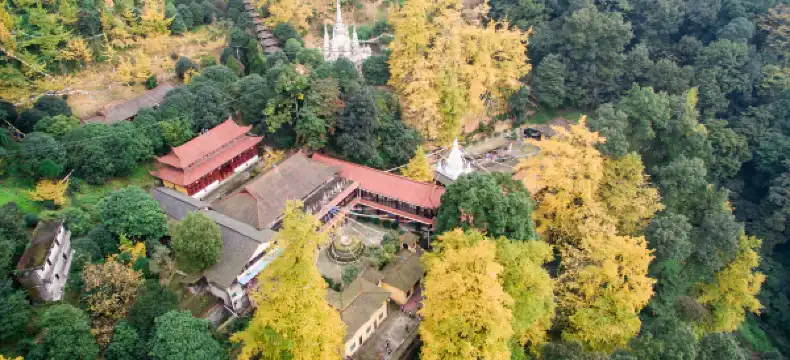 鄰近十里梅林的酒店