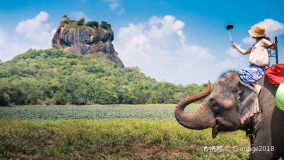 สถานเลี้ยงช้างกำพร้า + วัดถ้ำดัมบุลลา + หินสิงโต + ทัวร์วันเดียว/ทัวร์หลายวัน ในแคนดี้ ศรีลังกา