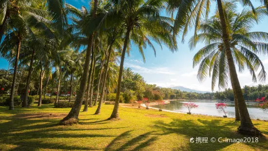 Xinglong Tropical Garden