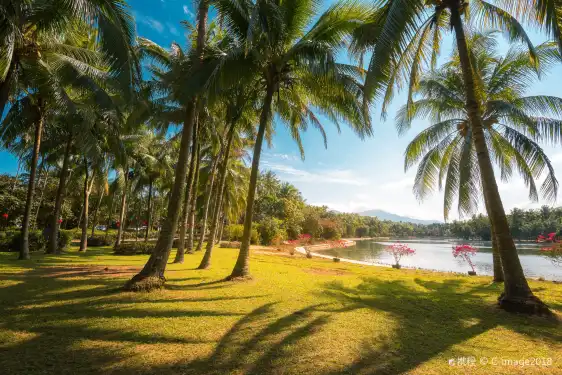 Hotels near Xinglong Tropical Garden