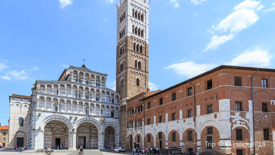Catedral de San Martín