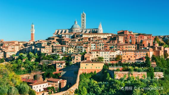 Lawatan sehari ke San Gimignano + Bandar Lama Siena + Katedral Siena