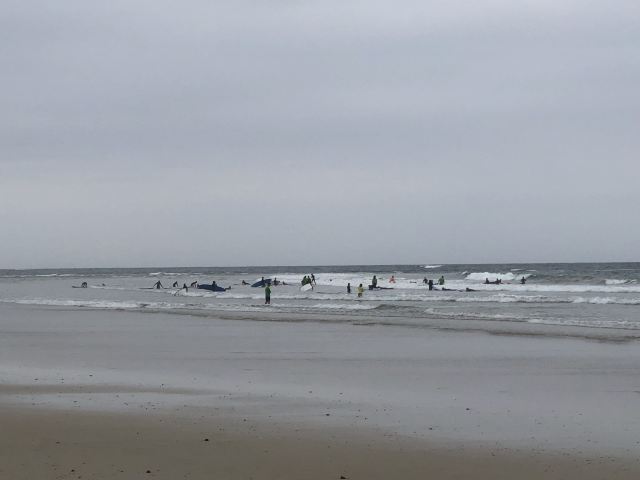 Anglesea