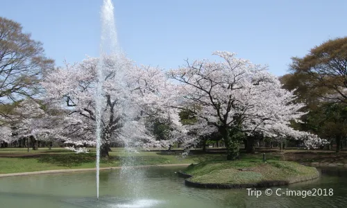 Parco Yoyogi