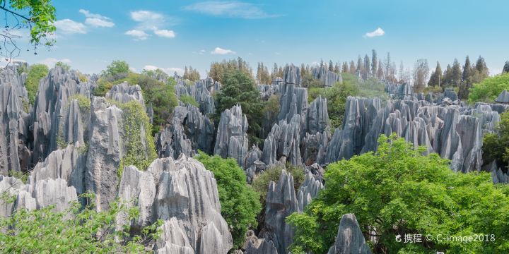 Naigu Stone Forest