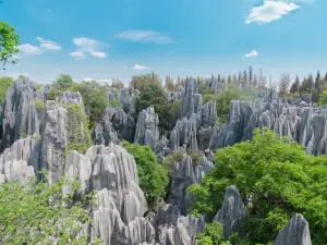 Naigu Stone Forest