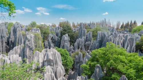 Naigu Stone Forest