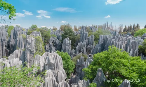 Naigu Stone Forest