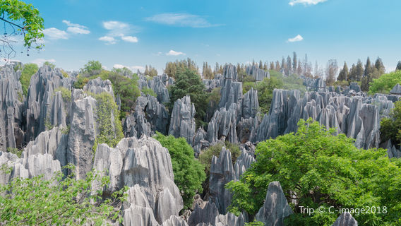 Naigu Stone Forest