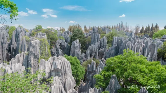 Naigu Stone Forest
