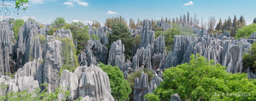 Naigu Stone Forest