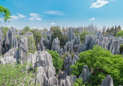 Naigu Stone Forest