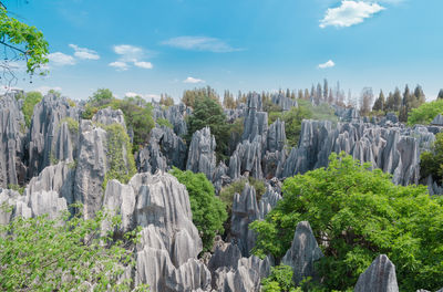 Naigu Stone Forest