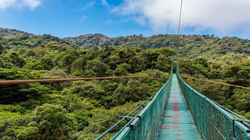 Monteverde Cloud Forest Biological Preserve