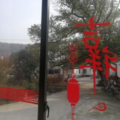 蘇州百年香樟緣鑫樓飯店·農家樂張用戶圖片